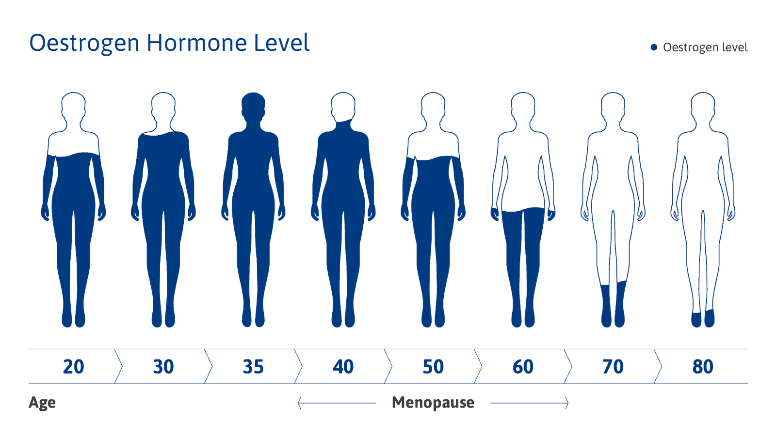 tena-menopause-oestrogen-hormone-level